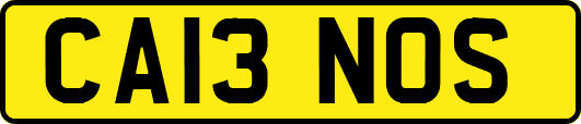 CA13NOS