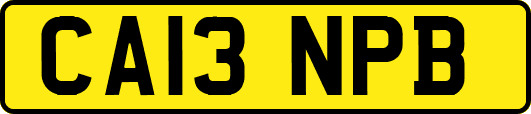 CA13NPB
