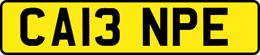 CA13NPE