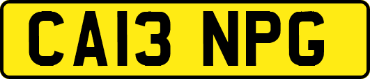 CA13NPG