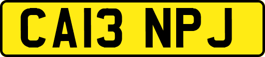 CA13NPJ