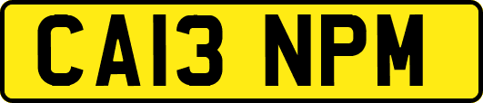 CA13NPM