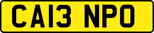 CA13NPO