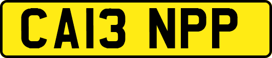 CA13NPP