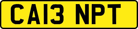 CA13NPT