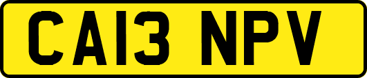 CA13NPV