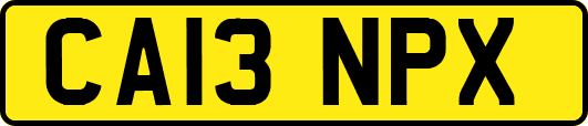 CA13NPX