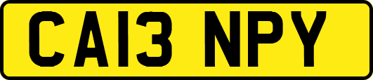CA13NPY