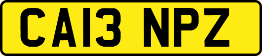 CA13NPZ