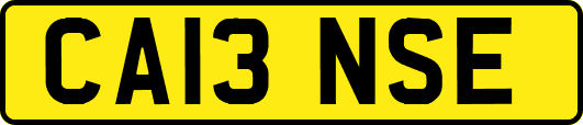 CA13NSE