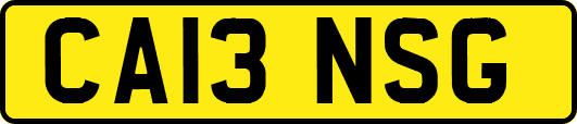 CA13NSG