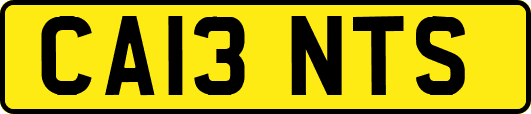 CA13NTS