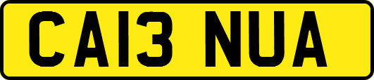 CA13NUA