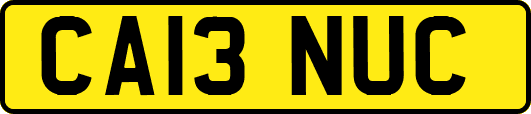 CA13NUC