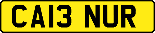 CA13NUR