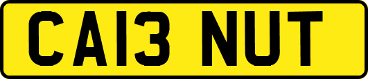 CA13NUT