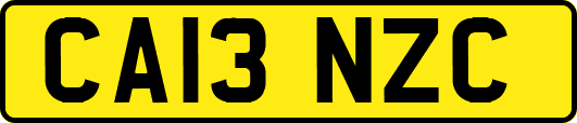 CA13NZC
