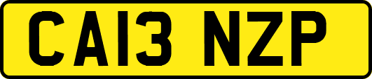 CA13NZP