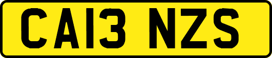 CA13NZS