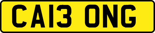CA13ONG