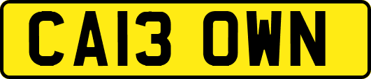 CA13OWN