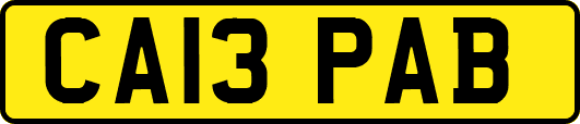 CA13PAB