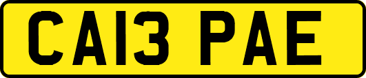 CA13PAE