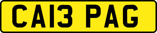 CA13PAG