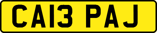 CA13PAJ