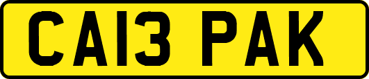 CA13PAK