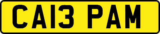CA13PAM
