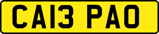 CA13PAO