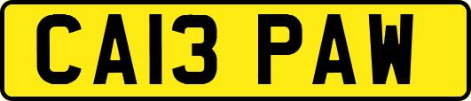CA13PAW