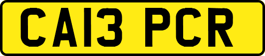CA13PCR