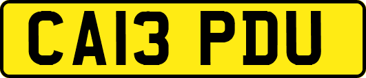 CA13PDU