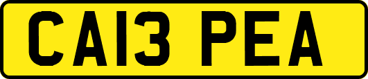 CA13PEA