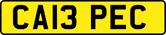 CA13PEC