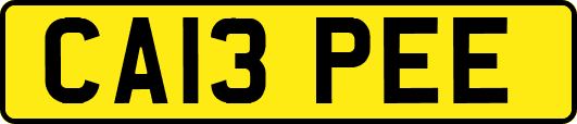 CA13PEE