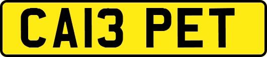 CA13PET