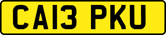 CA13PKU