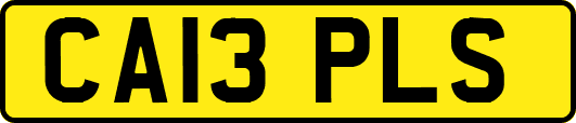 CA13PLS