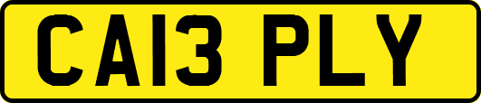 CA13PLY