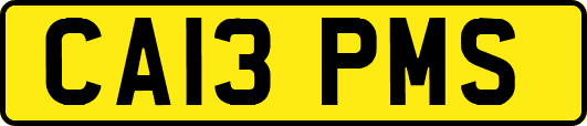 CA13PMS