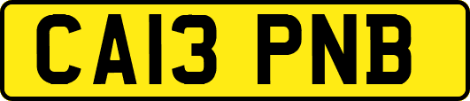 CA13PNB