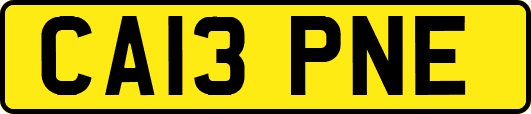 CA13PNE