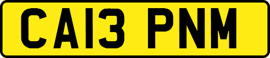 CA13PNM