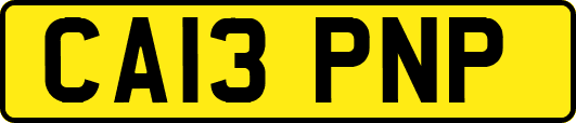 CA13PNP