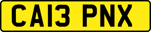 CA13PNX