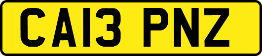 CA13PNZ