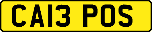 CA13POS